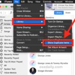 How to Find Duplicate Songs in iTunes 12