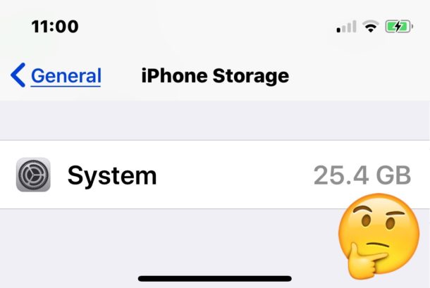 How to reduce Large System storage capacity used on iPhone or iPad