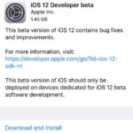 iOS 12 beta 1 download