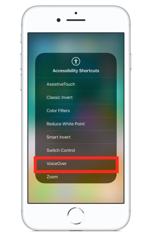 The Accessibility Shortcut in iOS with VoiceOver