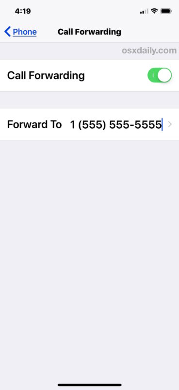 Call forwarding enabled on iPhone with forward to number shown