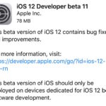 iOS 12 developer beta 11