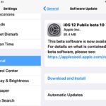 iOS 12 beta 12 and public beta 10