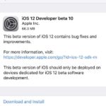 iOS 12 developer beta 10 available to download