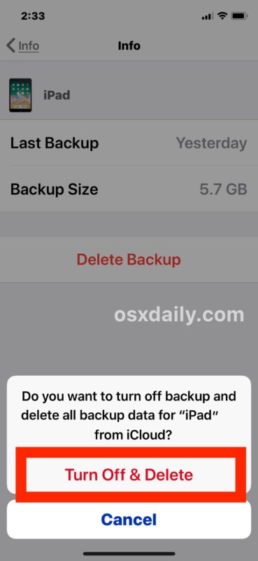 Confirm to delete the iCloud backup