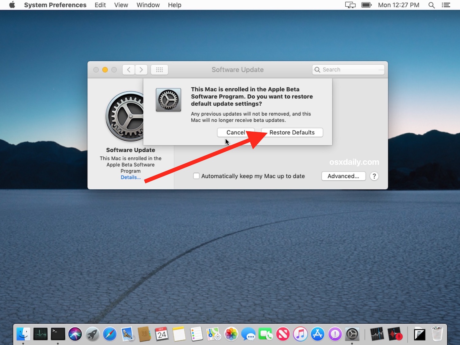 How to stop receiving beta macOS Updates for system software