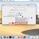 Disable Recent Applications in Dock of MacOS
