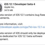 iOS 12.1 beta 4