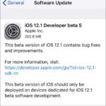 iOS 12.1 beta 5 download available