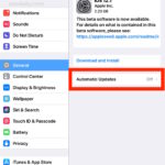 How to enable Automatic Software Updates in iOS