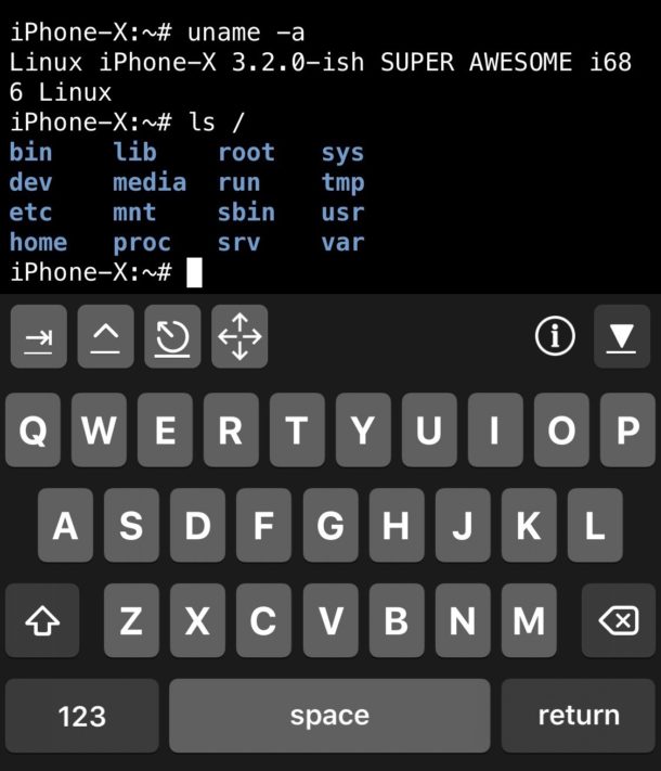 Оболочка iSH Linux на iPhone и iPad