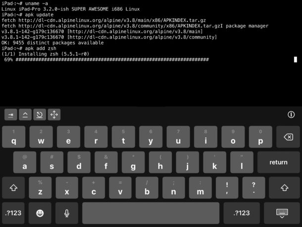 Using apk to add packages to iSH Linux shell on iOS