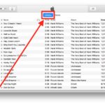 Accessing iTunes library in iTunes