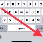 How to remove the microphone button from keyboard on iPhone or iPad
