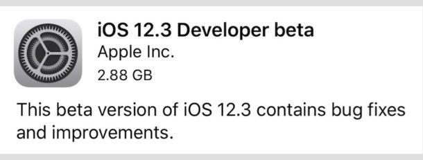 iOS 12.3 beta 6 released for testing