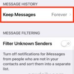 How to setup auto-delete Messages on iOS