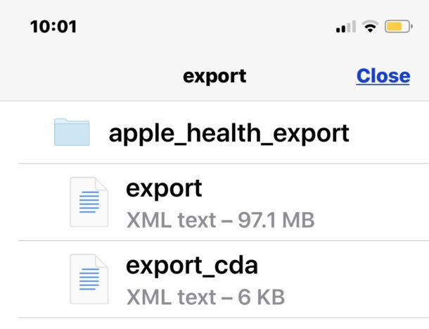 Apple Health app data in XML extracted and exported from Health app