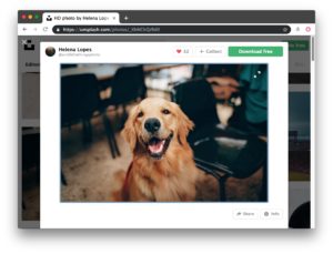 How to Reverse Image Search with Google Chrome the Easy Way - OS X Daily