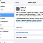 iOS 12.3 update for iPhone and iPad