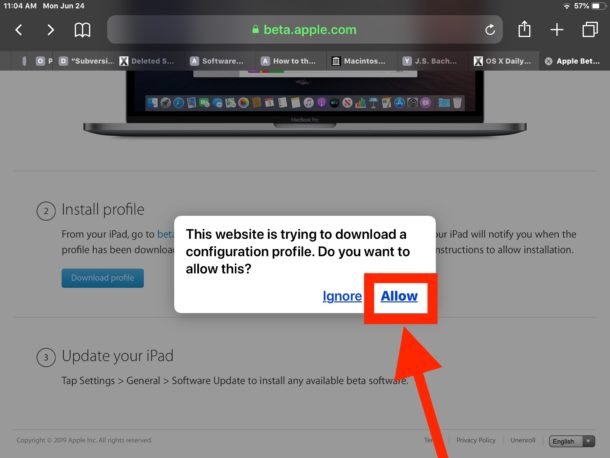 Allow the beta iPadOS configuration profile