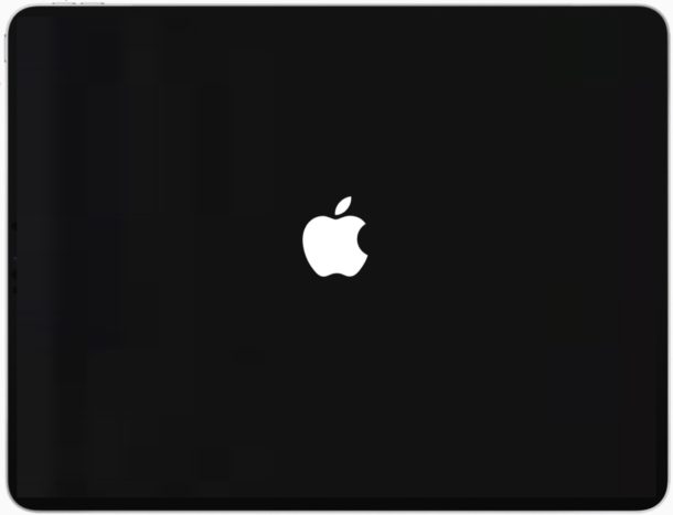 iPad stuck on Apple logo screen