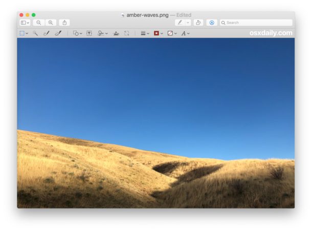 Перед инвертированием изображения в предварительном просмотре на Mac