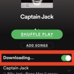 How to download a single song from Spotify