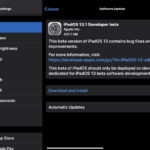 iPadOS 13.1 beta 1 and iOS 13.1 beta 1 download