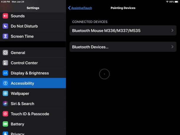 Connect a Bluetooth mouse to iPadOS