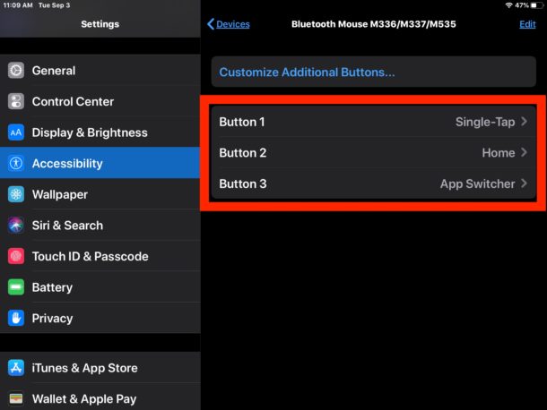 Customize iPad mouse button actions and behaviors