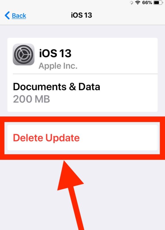 Delete the iOS 13 update 