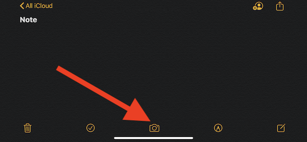 Tap the Camera icon in the Notes app to scan a document