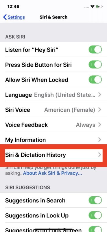 How to delete Siri and Dictation audio history