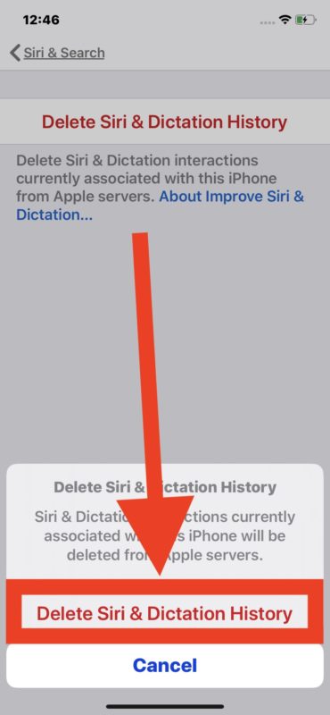 Confirm to delete and clear Siri and Dictation audio history