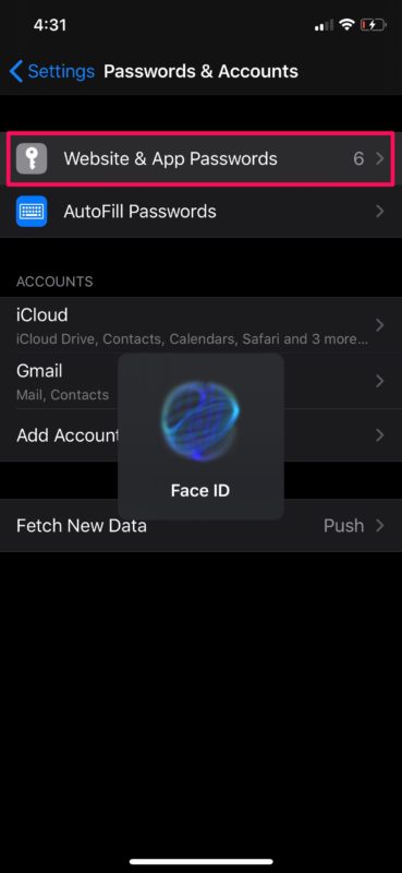How to See Accounts & Passwords on iPhone & iPad
