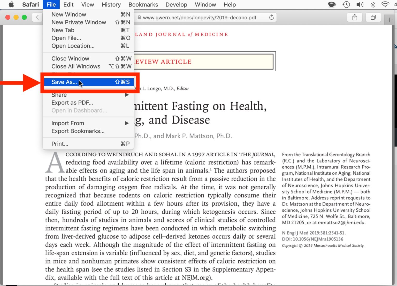 how to download a pdf from safari on mac