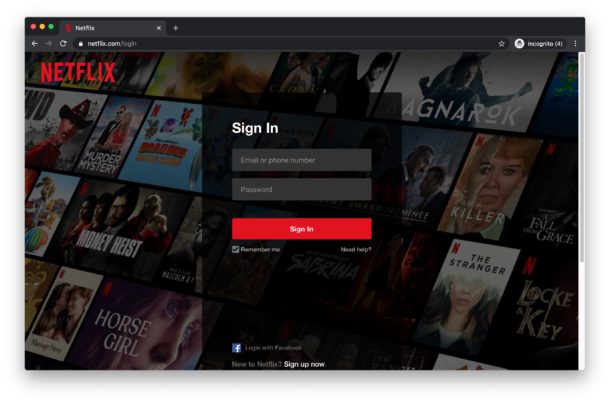 Sign in to Netflix