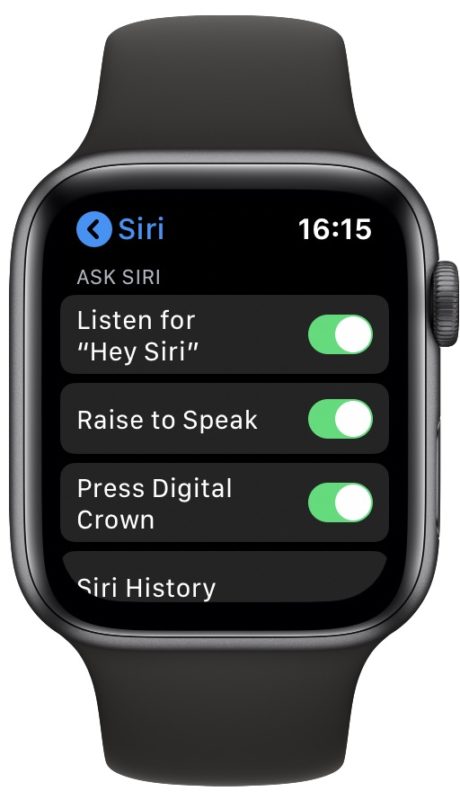 Apple Watch Raise To Speak