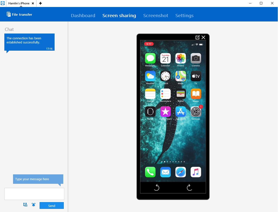 how to download teamviewer to ipad mini