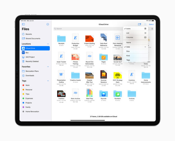 iPadOS 14 files app