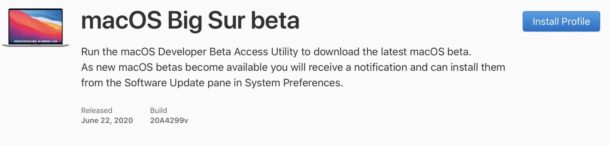 Download MacOS Big Sur beta