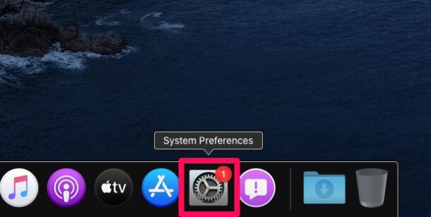 How to Customize the Dock on Mac