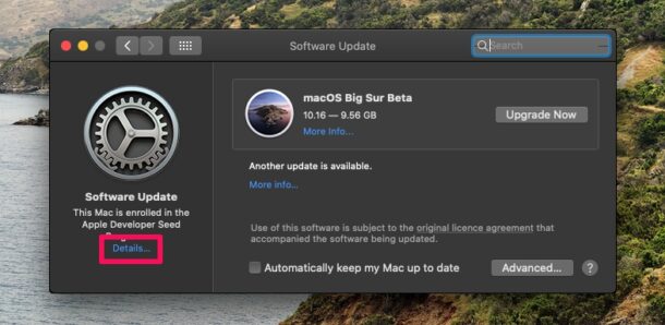 How to Unenroll Your Mac from Developer & Public Beta