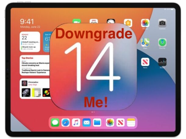 iPadOS 14 downgrade
