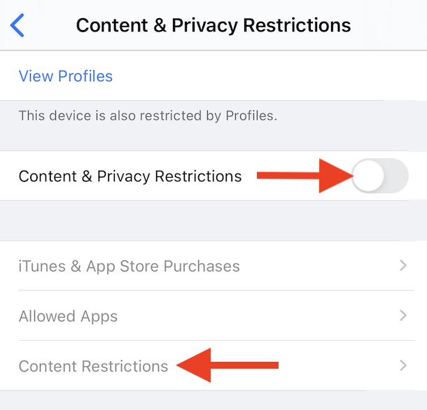 Toggle content and privacy restrictions on
