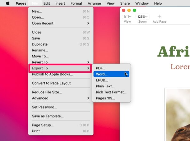 Как конвертировать страницы в Word на Mac