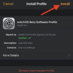 install watchOS 7 beta profile