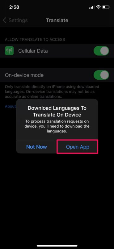 How to Enable On-Device Mode for Translate on iPhone
