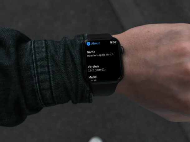How to Check watchOS version on Apple Watch