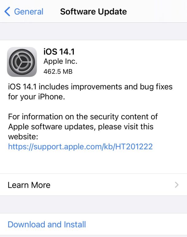 iOS 14.1 download